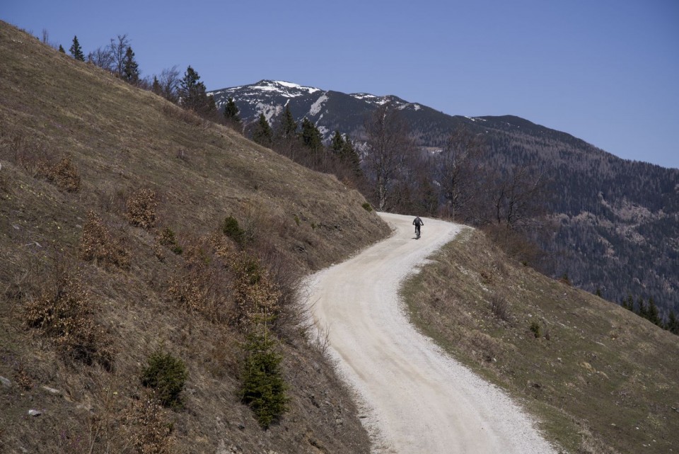 27. marec 17 - foto povečava