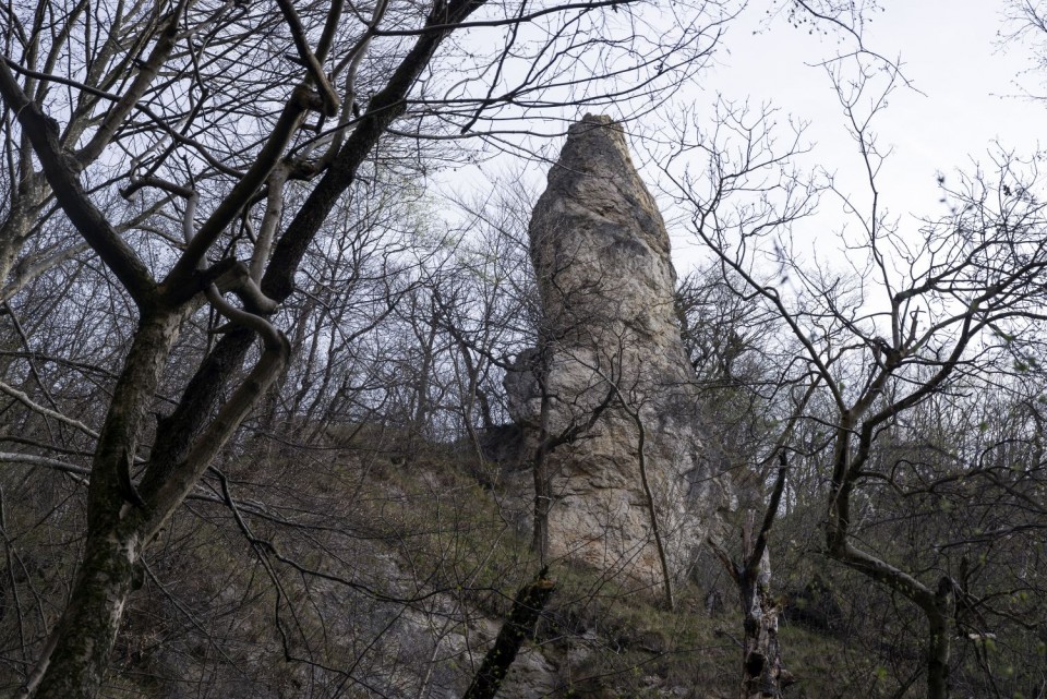 2. april 17 - foto povečava