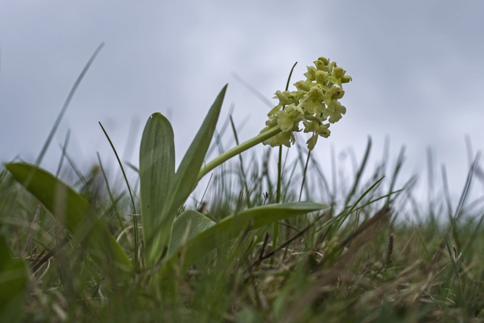 15. april 17 - foto povečava