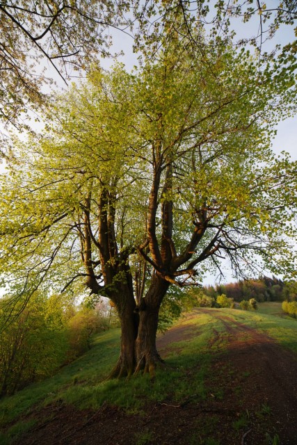 17. april 17 - foto