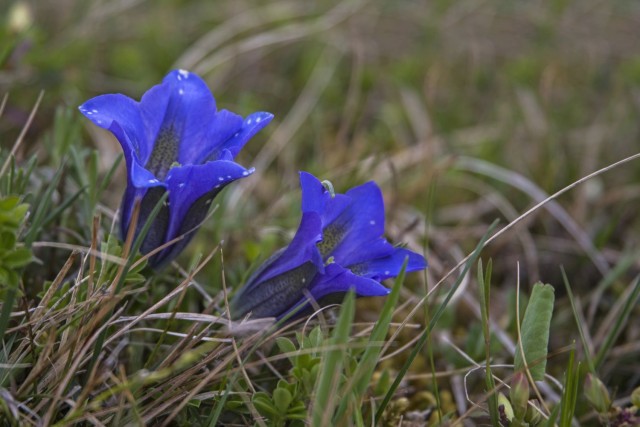 17. april 17 - foto