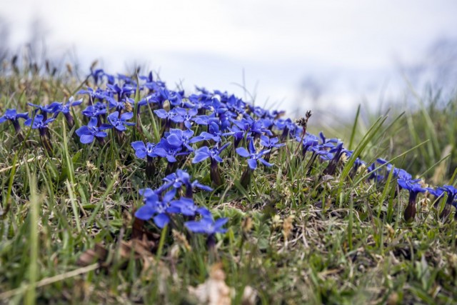 4. maj 17 - foto