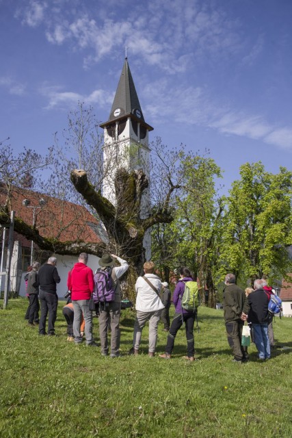 6. maj 17 - foto