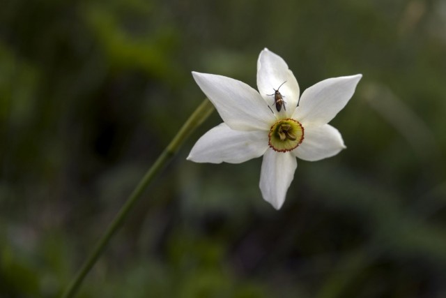6. maj 17 - foto