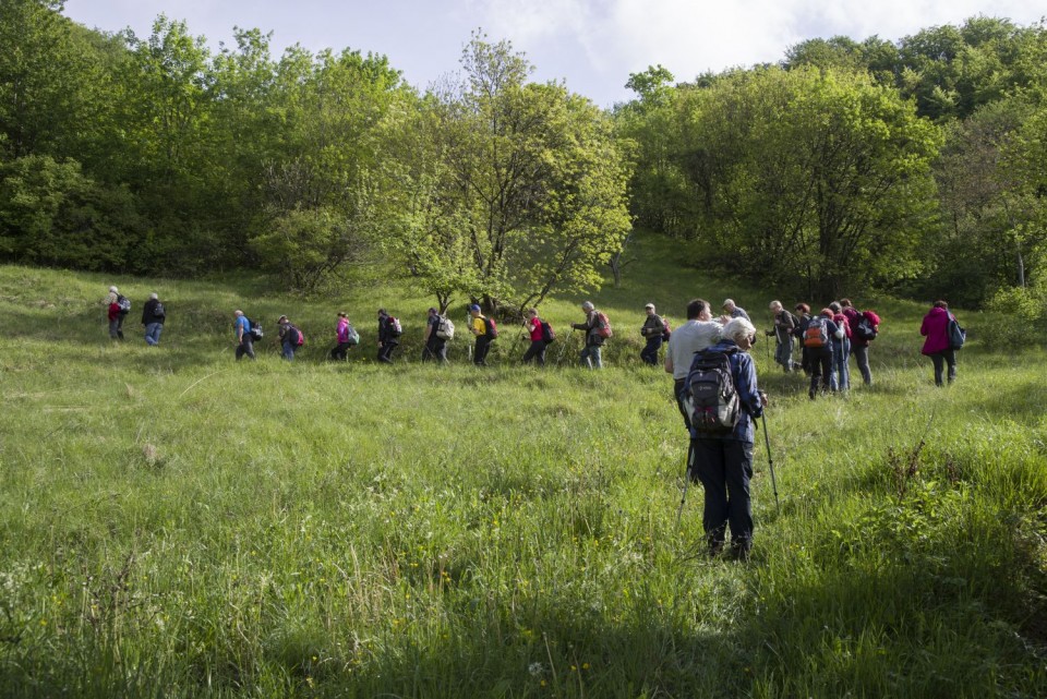 07 maj 17 - foto povečava