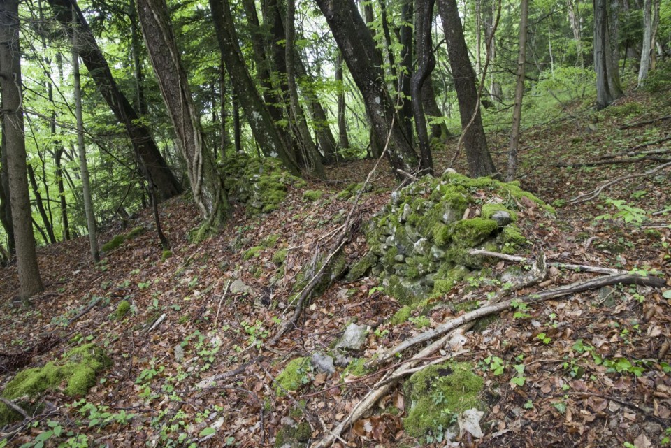 07 maj 17 - foto povečava