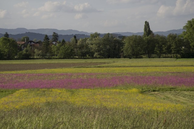 12. maj 17 - foto