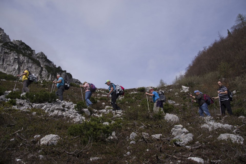 13. maj 17 - foto povečava