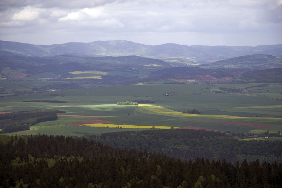 24. maj 17 - foto povečava