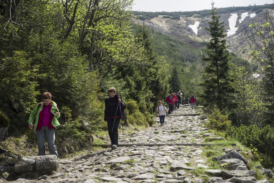 25. maj 17 - foto povečava