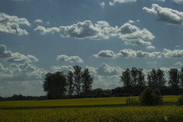 26. maj 17 popoldan - foto