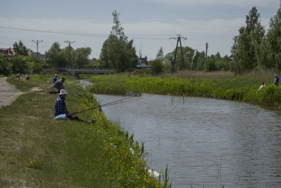 28. maj 17 - foto povečava