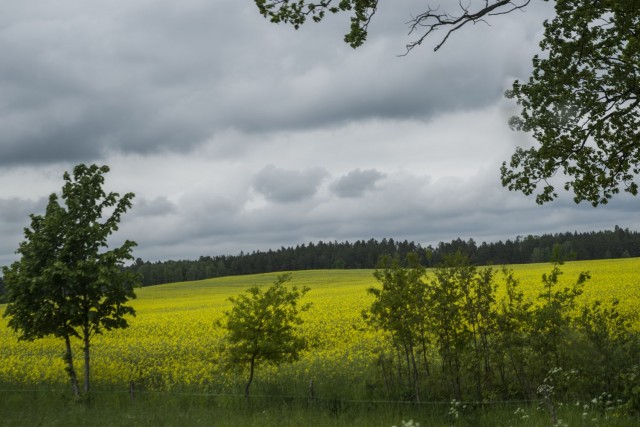 29. maj 17 popoldan - foto