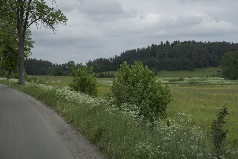 29. maj 17 popoldan - foto povečava