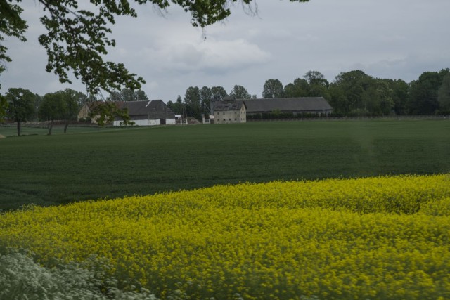 29. maj 17 popoldan - foto