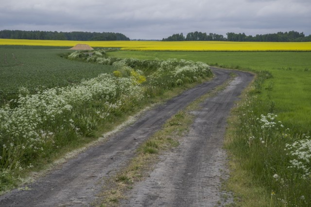 29. maj 17 popoldan - foto