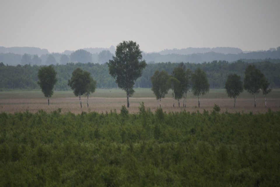 30. maj dopoldan - foto povečava