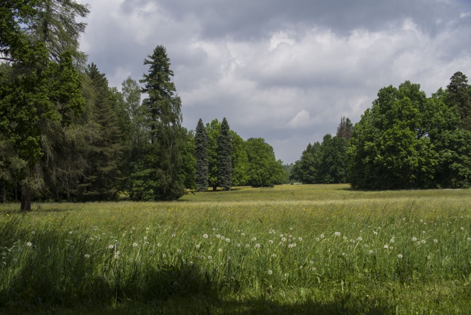 31. maj 17 - foto povečava