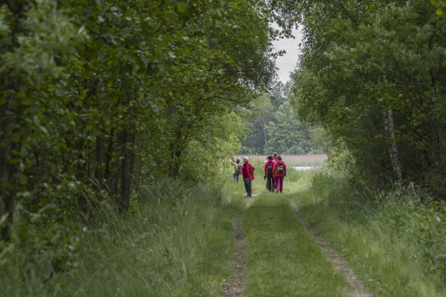 1. junij 17 dopoldne - foto