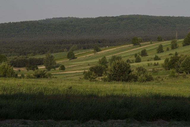 1. junij 17 popoldne - foto