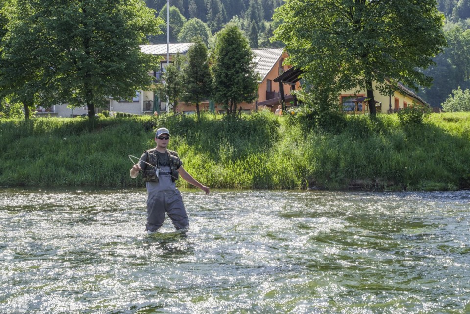 3. junij 17 - foto povečava