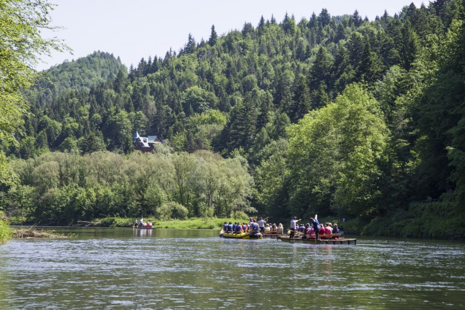 3. junij 17 - foto povečava