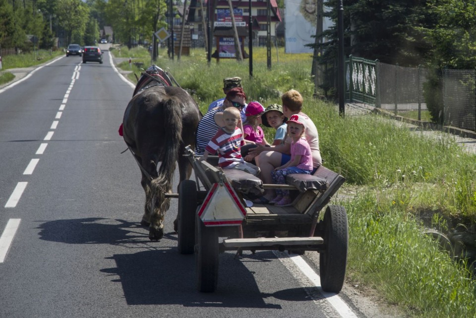 3. junij 17 - foto povečava