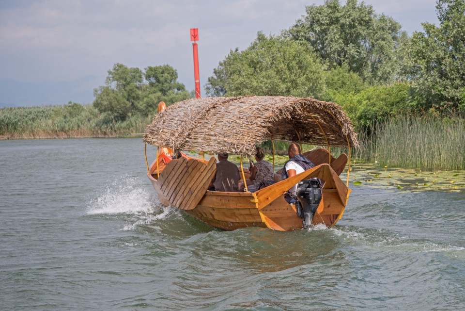 18. junij 17 - foto povečava