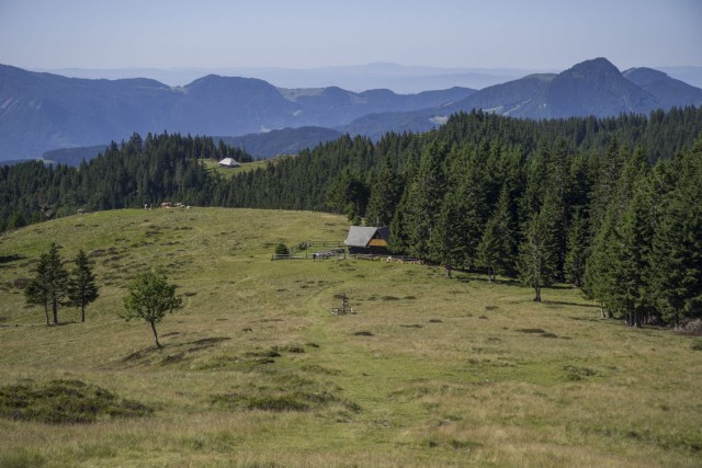 6. julij 17 - foto