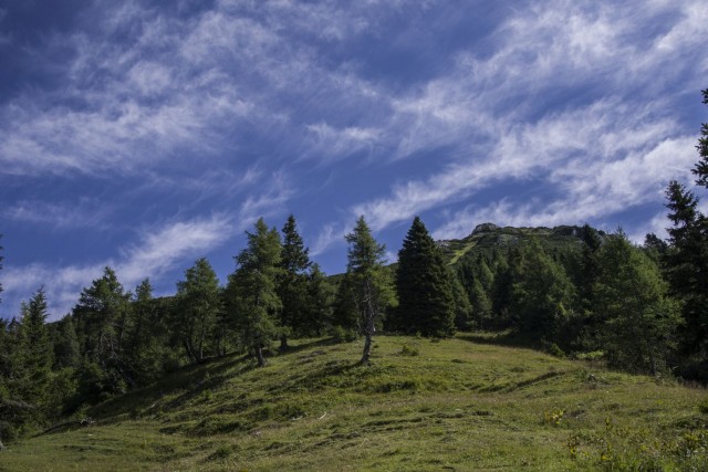 27. julij 17 - foto