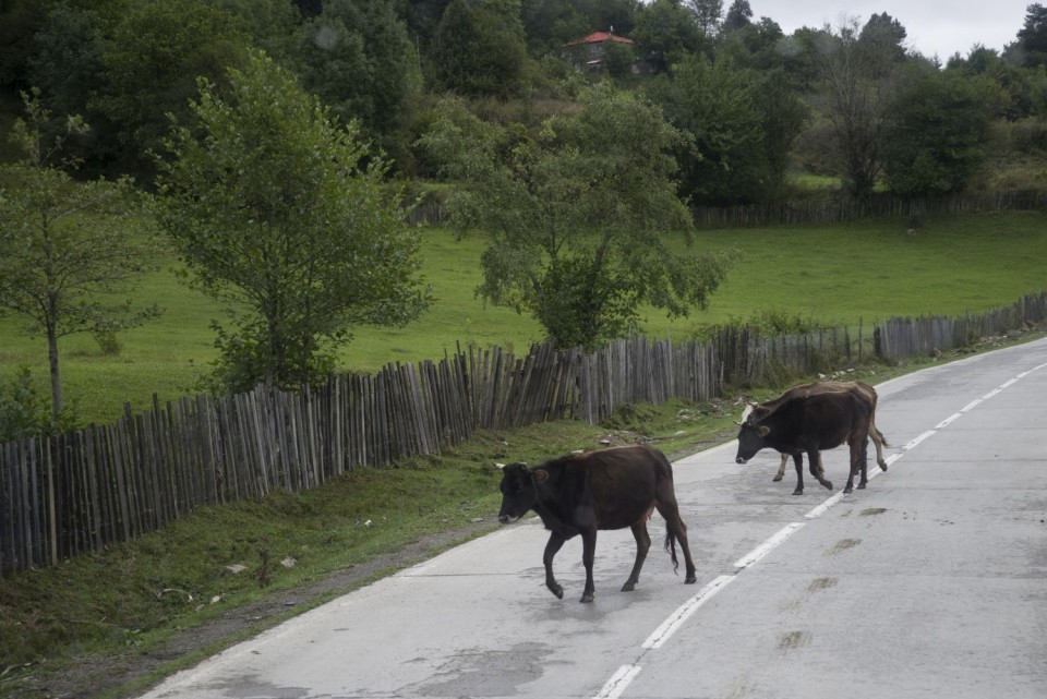 7. september 17 - foto povečava