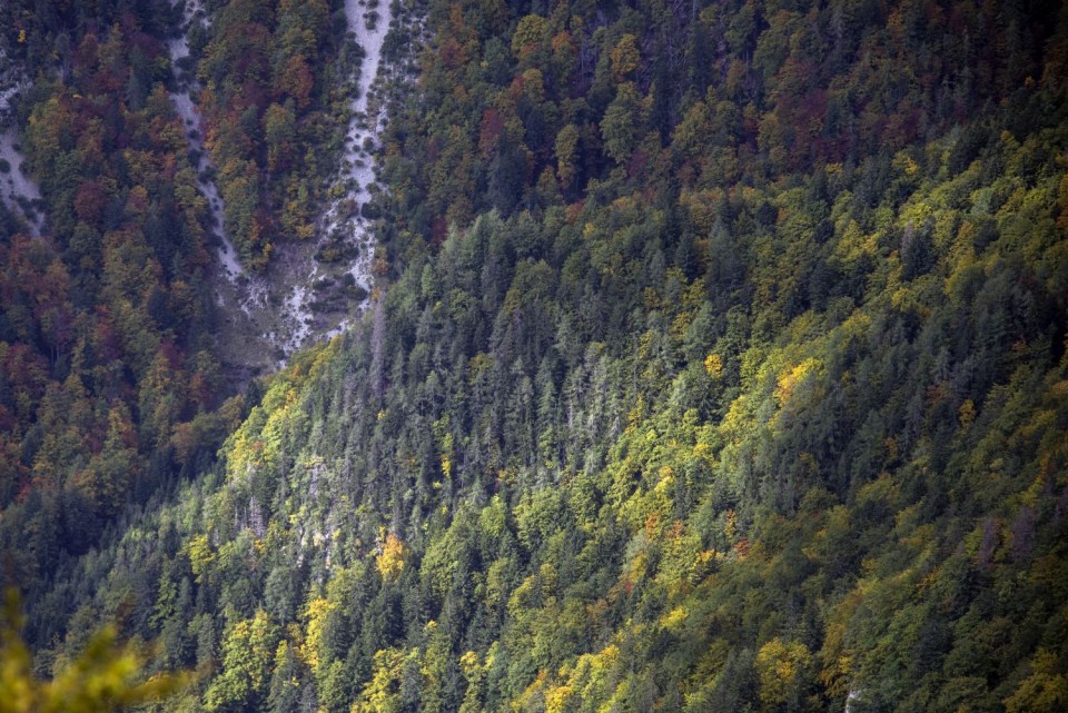 30. september 17 - foto povečava