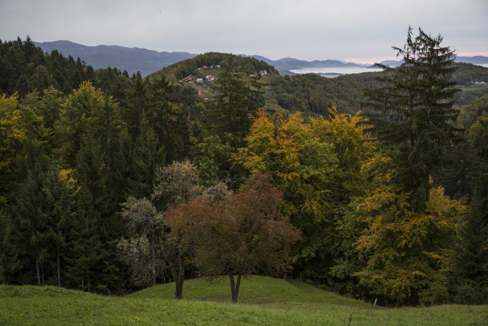 8. oktober - foto povečava