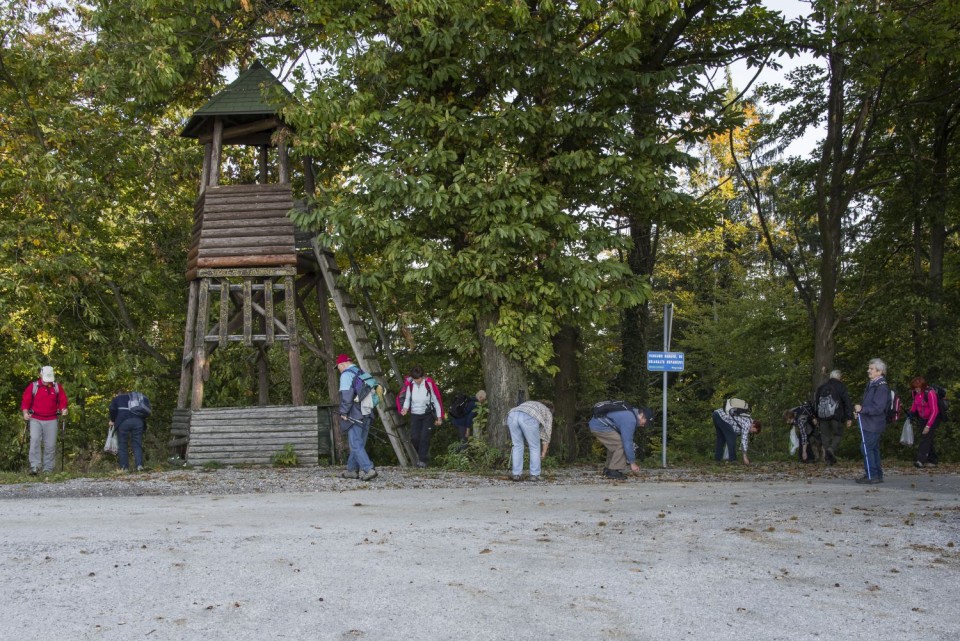 11. oktober 17 - foto povečava