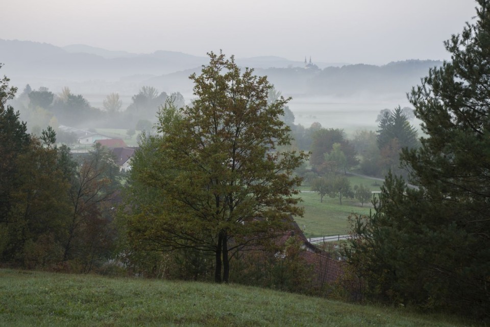 12. oktober 17 - foto povečava