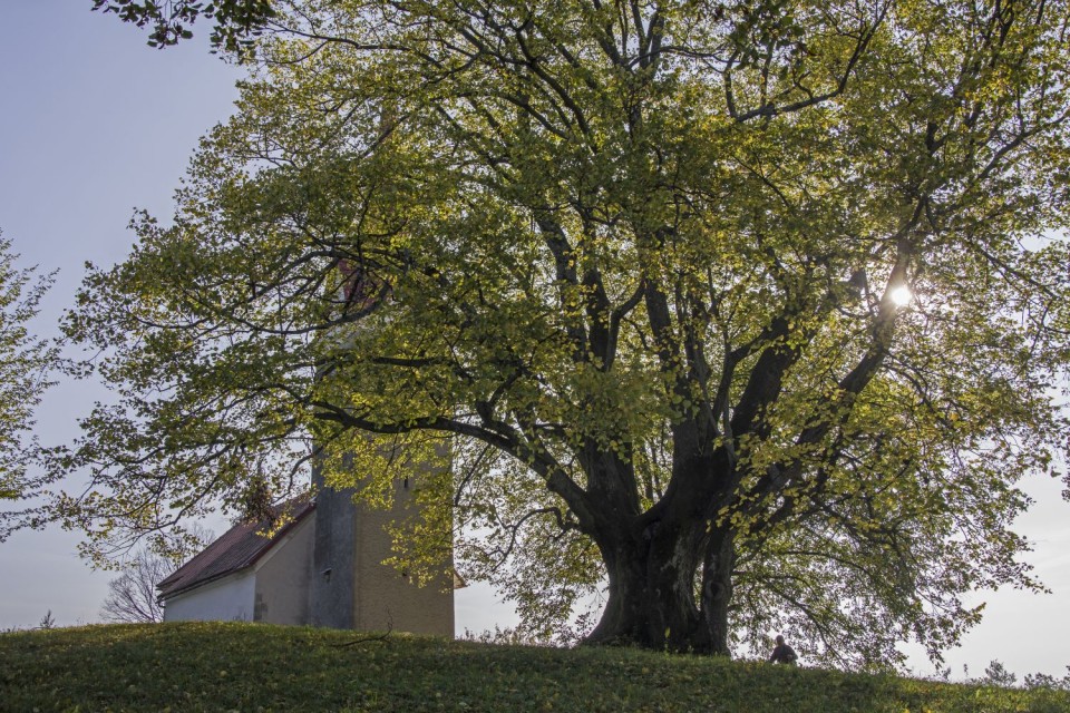 12. oktober 17 - foto povečava