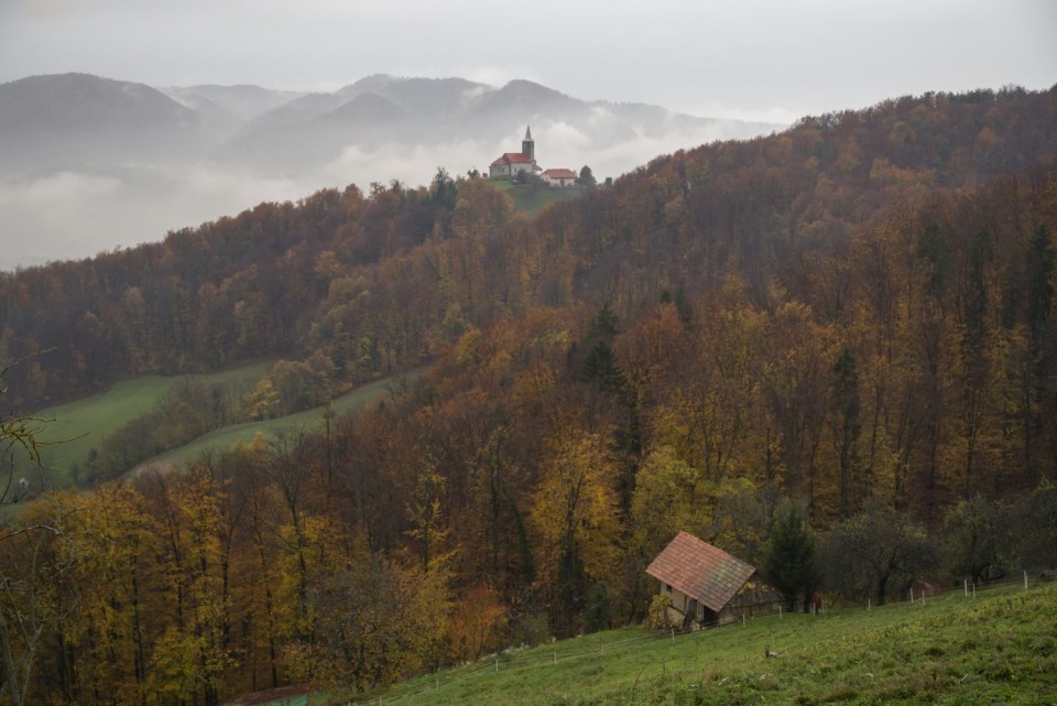 7. november 17 - foto povečava