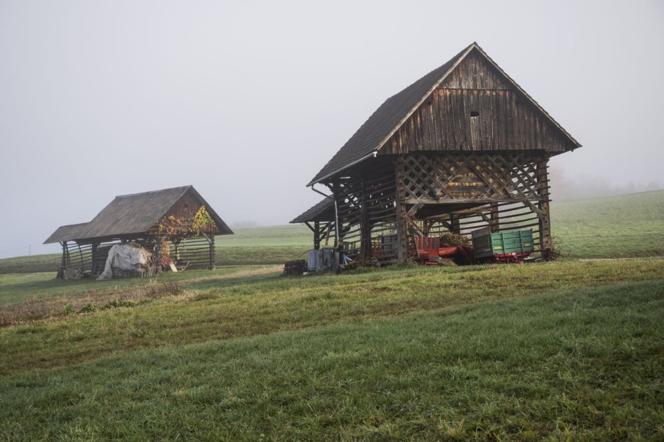 20. november 17 - foto povečava