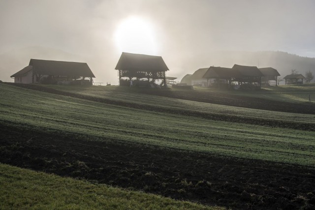 20. november 17 - foto