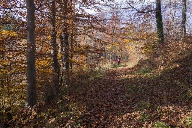 20. november 17 - foto