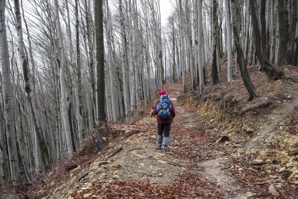 28. december 17 - foto povečava