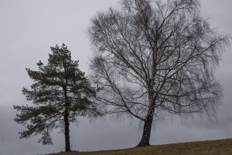 28. december 17 - foto povečava