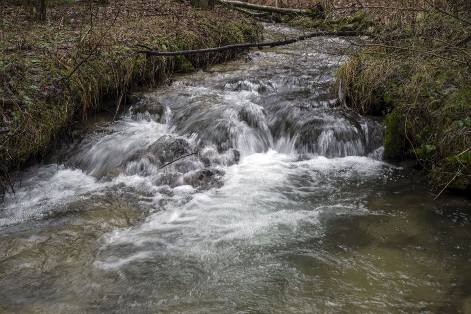 17. januar 18 - foto povečava