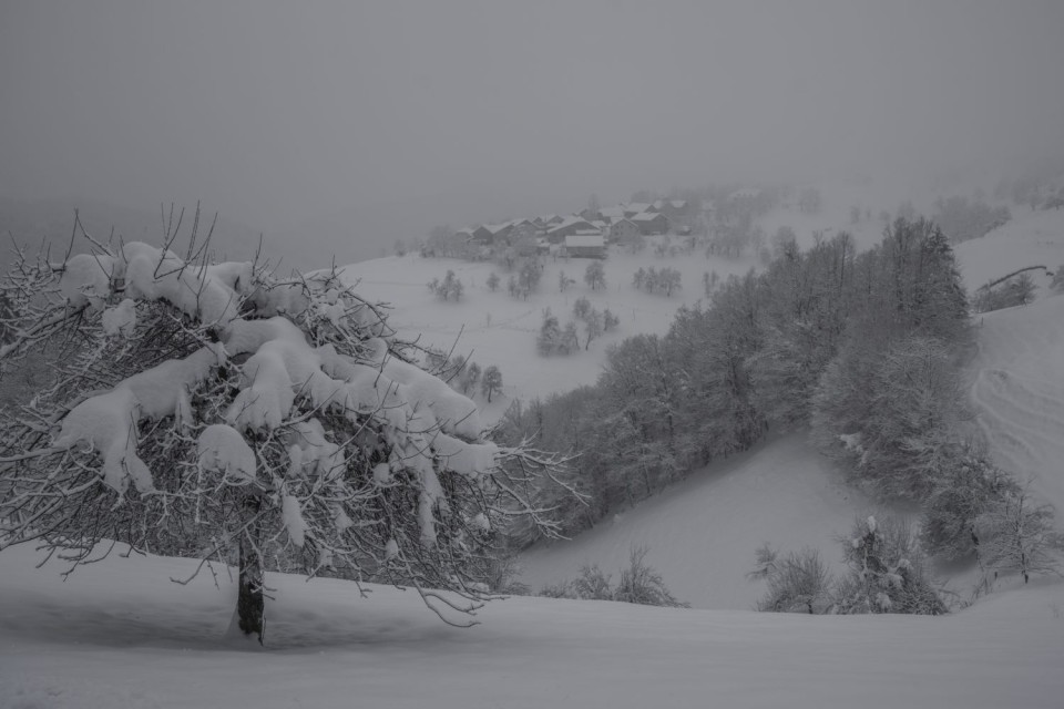 8. februar 18 - foto povečava