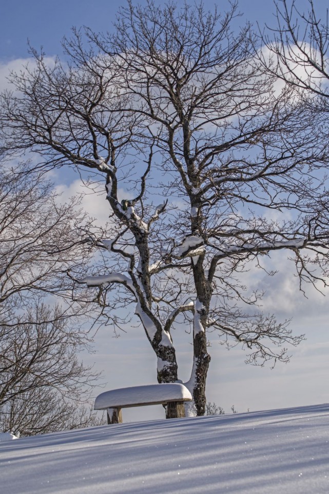 14. februar 18 - foto povečava