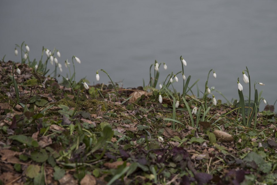 19. februar 18 - foto povečava