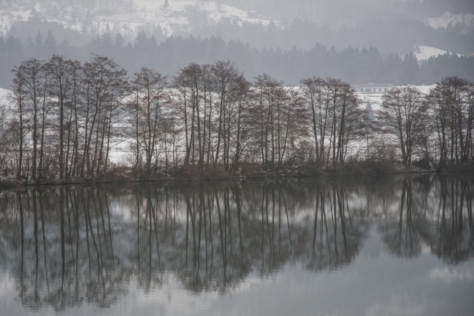 5. marec 18 - foto povečava