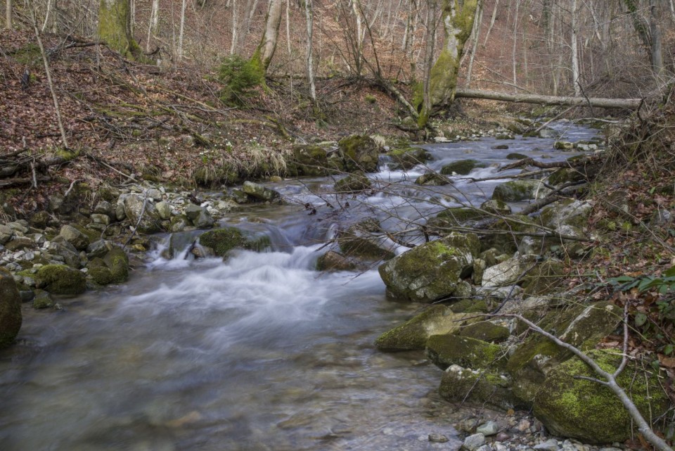 28. marec 18 - foto povečava