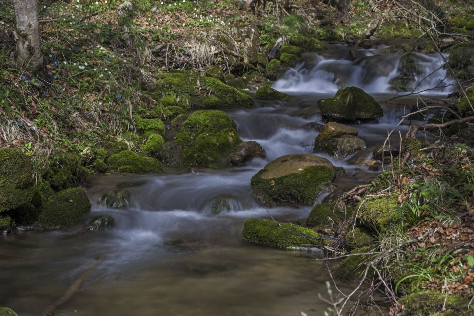 11. april 18 - foto povečava