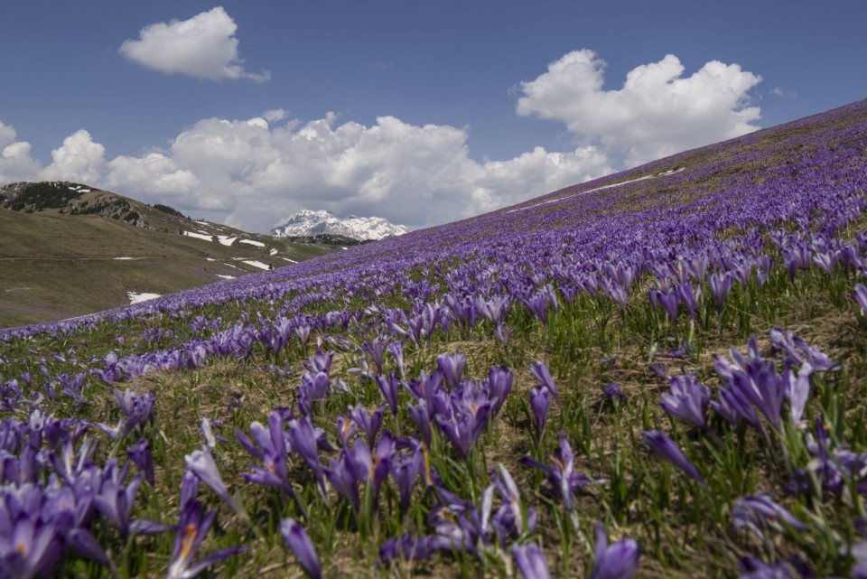 23. april 18 - foto povečava